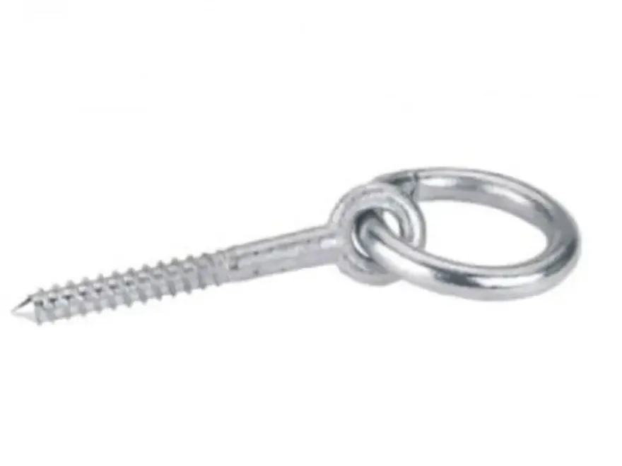 Houtdraadbout + Ring6Mm Rvs316