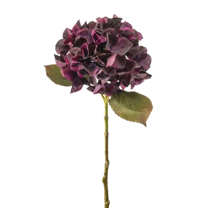 Hydrangea stem burgundy 47cm