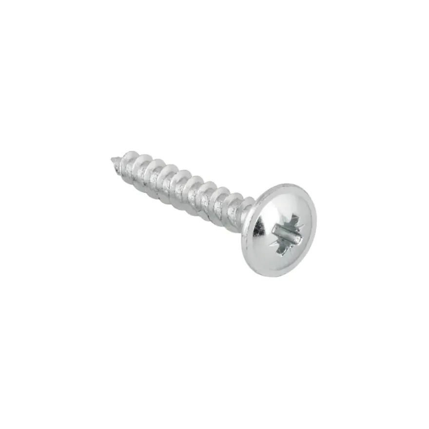 KARWEI achterwandschroef 3x16 mm (15 stuks)