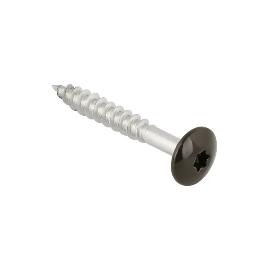 KARWEI compactplaatschroef rvs bruin 4,8x38 mm (15 stuks)