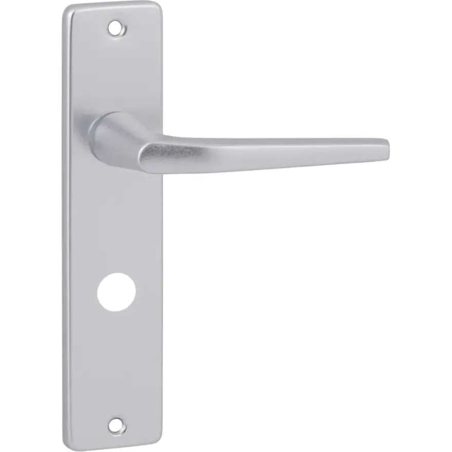 Karwei deurkruk set Daan recht schild vrij-bezet sluiting 63/8 mm aluminium