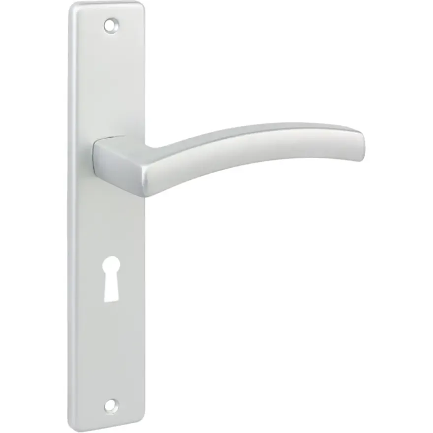 KARWEI deurkrukset France langschild sleutel 56mm ANOX (mat aluminium)