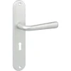 Karwei deurkruk set Spanje ovaal schild sleutelgat 56 mm ANOX aluminium mat