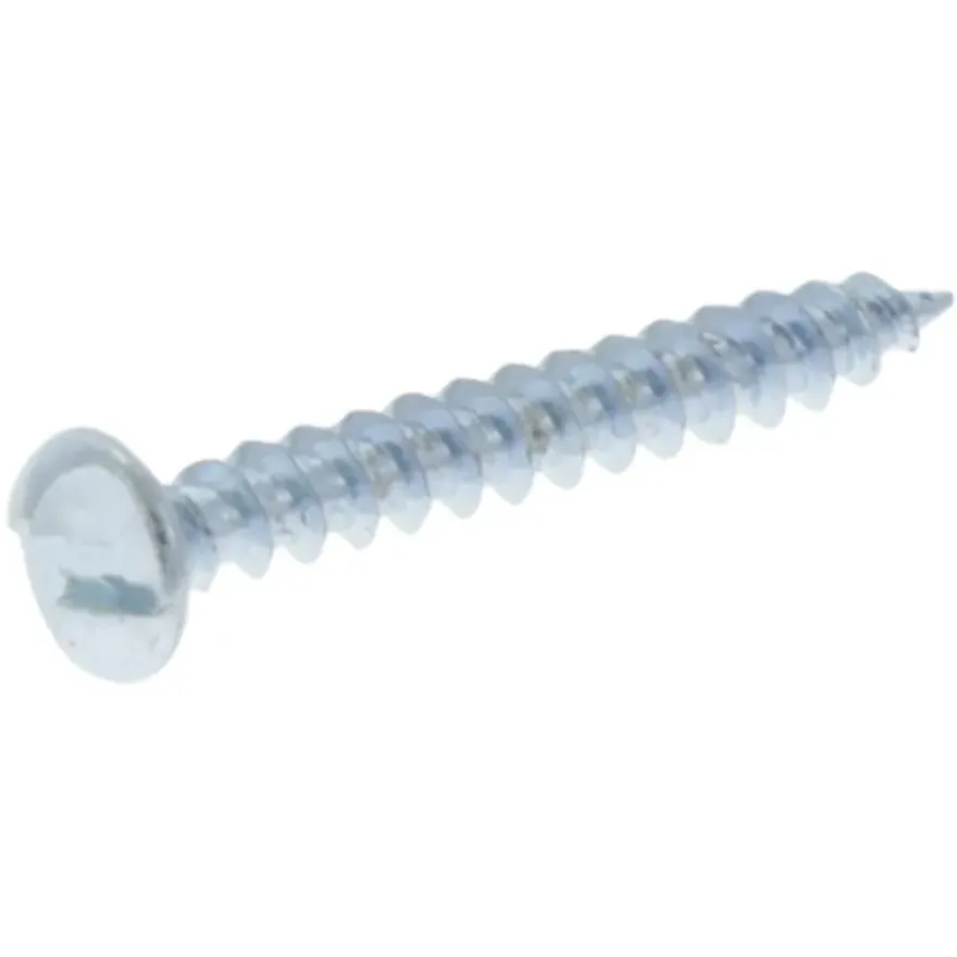 KARWEI Schroef anti-inbraak verzinkt 4,0x30 mm 12 stuks