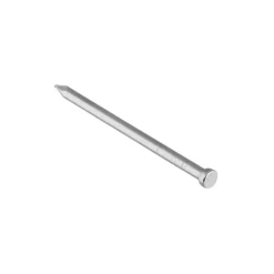 KARWEI spijker rvs 2,7x55 mm (30 stuks)