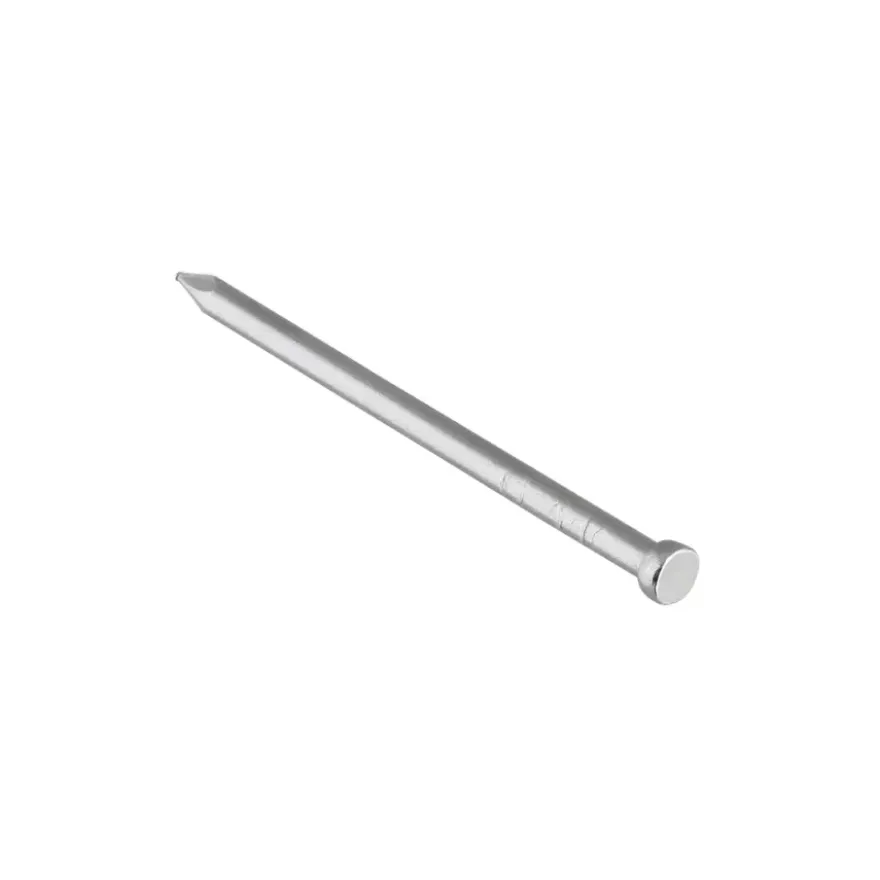 KARWEI spijker rvs 2,7x55 mm (30 stuks)