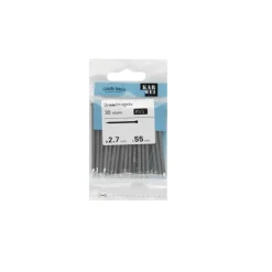 KARWEI spijker rvs 2,7x55 mm (30 stuks)