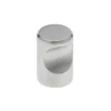 Knop Noa rvs 15mm