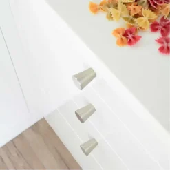 Knop Phoebe rvs 29mm