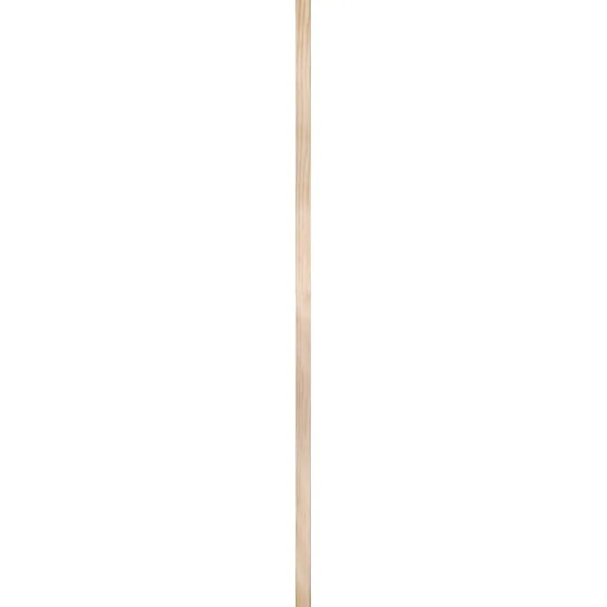 Lat grenen DD-vorm 18x55 mm lengte 210 cm