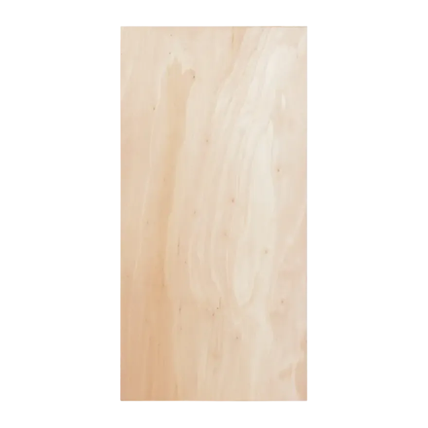 Multiplex plaat hardhout voor binnen 122 x 61 cm 12 mm