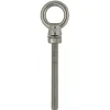 Oogbout M10x100mm