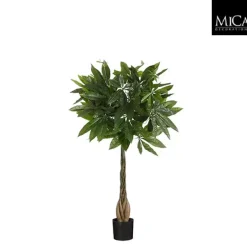 Pachira in pot groen - h80xd60cm