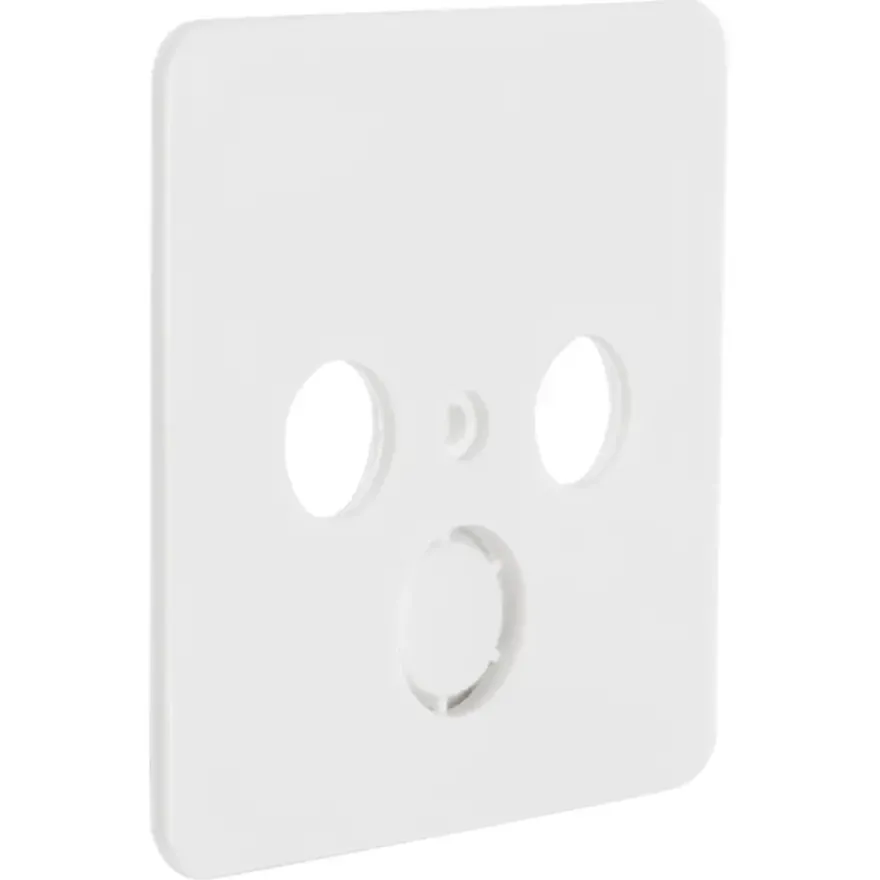 Peha Standard Centraalplaat Radio/TV wit