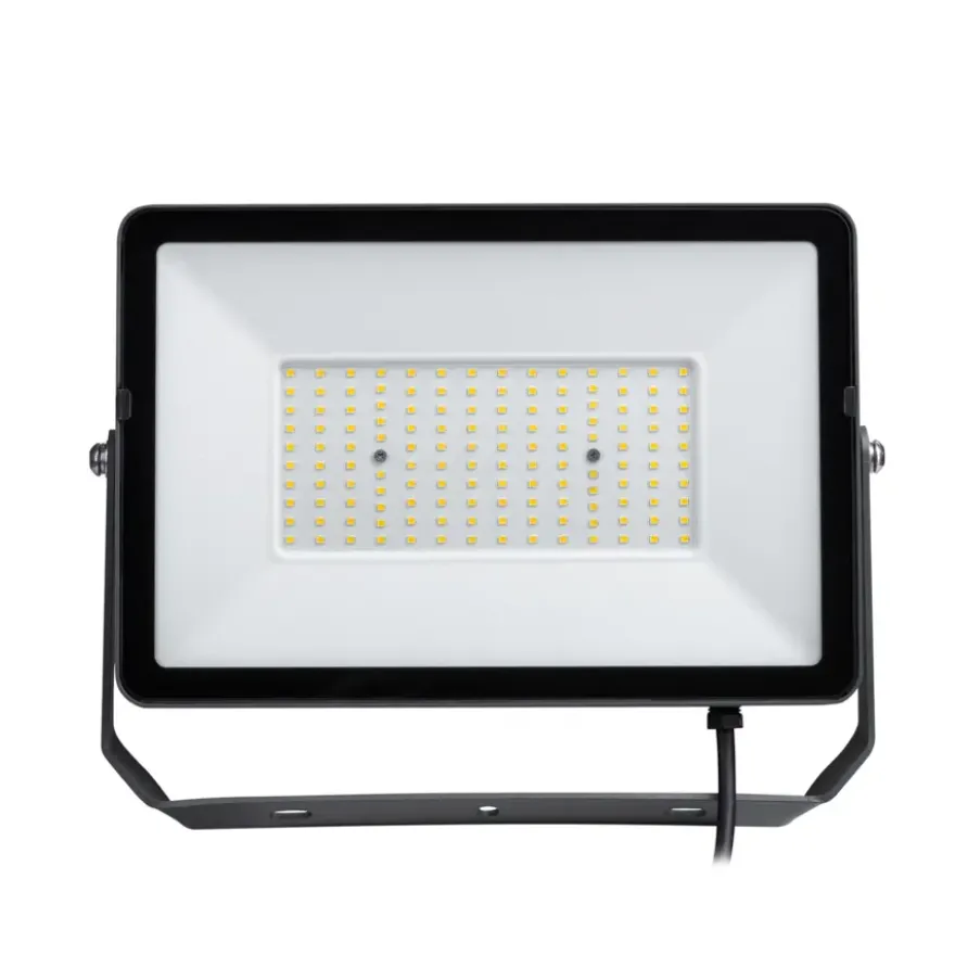 Philips breedstraler 4750 lumen 4000K 50W