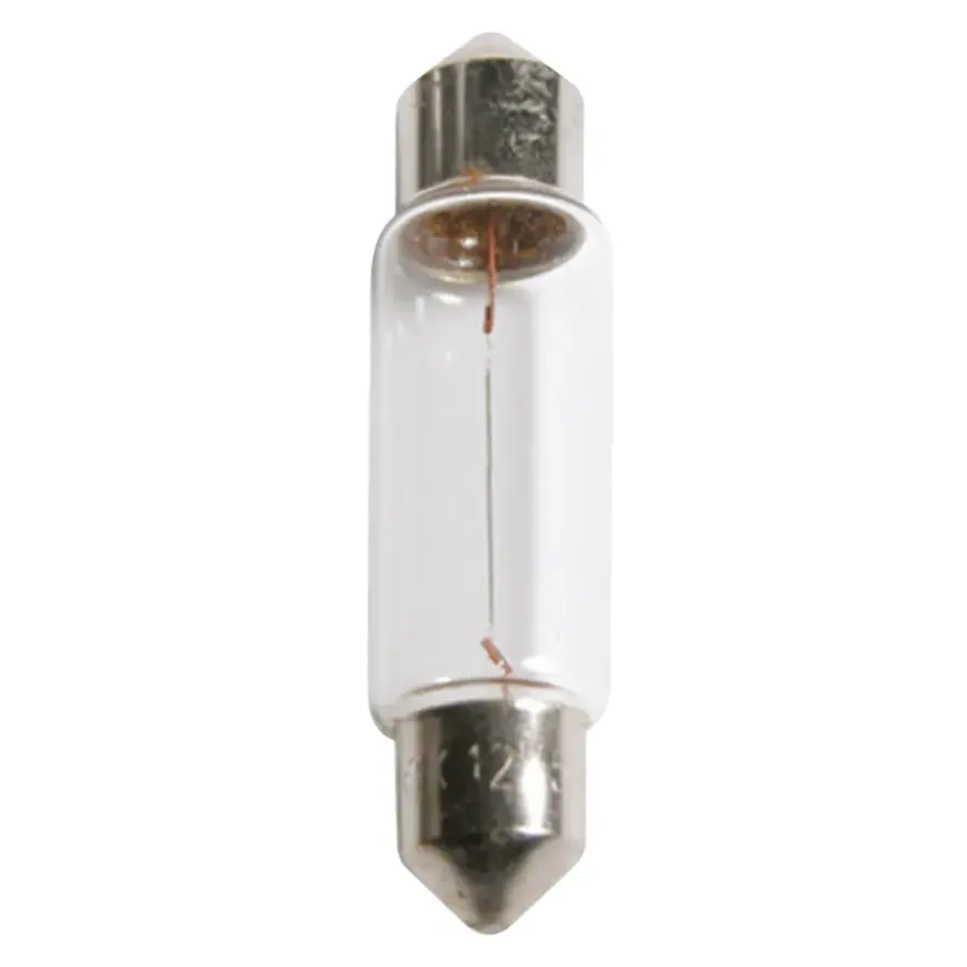 Philips autolampen C10W Vision SV8,5 2 stuks