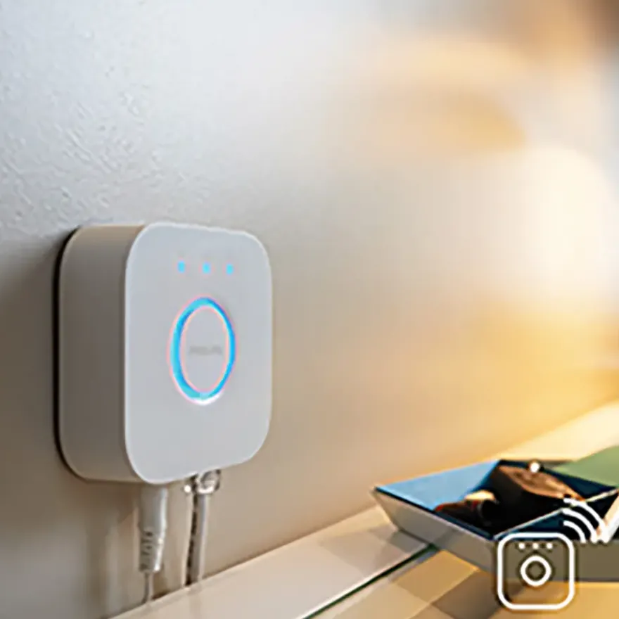 Philips Hue losse bridge