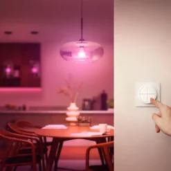 Philips Hue Tap dial switch draaischakelaar wit
