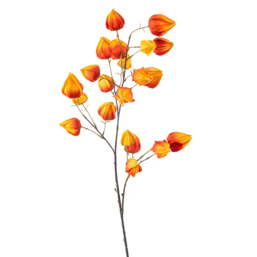 Physalis spray oranje 90cm