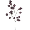 Physalis spray paars 90cm