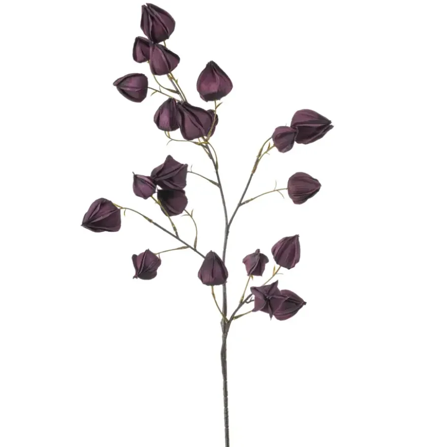Physalis spray paars 90cm