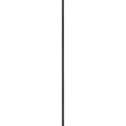 Plank eiken zwart 19x195 mm 250 cm