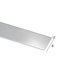 Plat profiel RVS 15x0.5x1000 mm