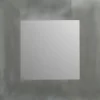 Plieger dual spiegel geborsteld aluminium 40 x 40 cm