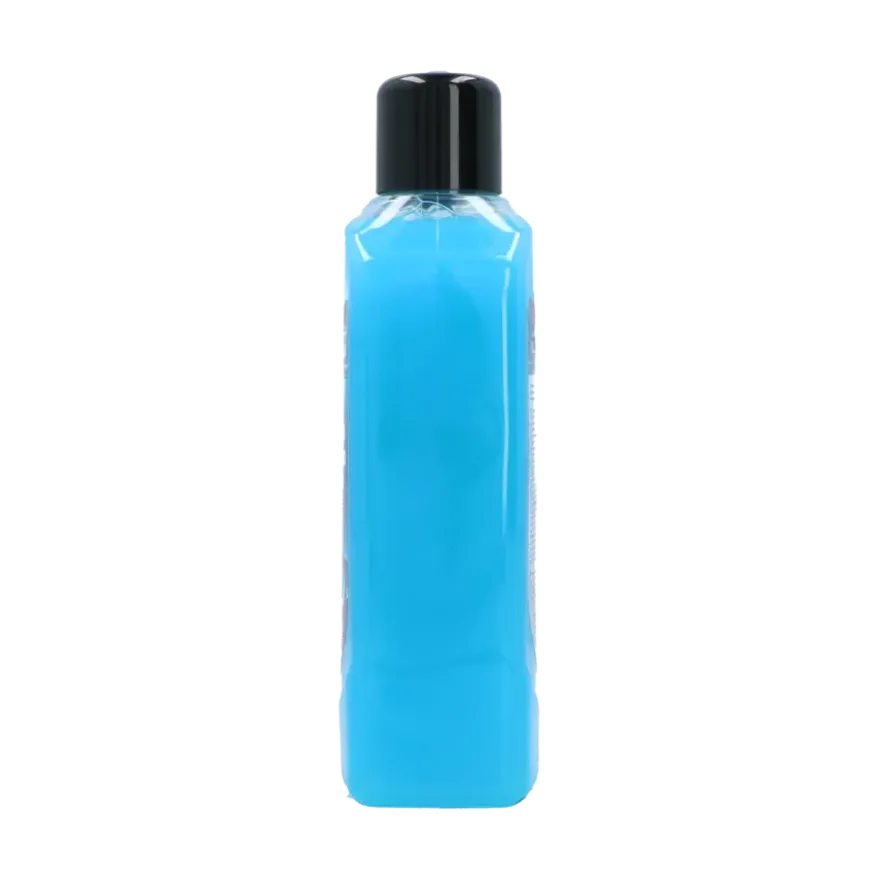 Protecton Auto Shampoo Wash & Wax 1L
