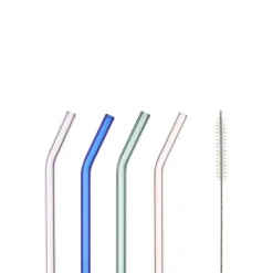 Rietjes glas set van 4 met schoonmaakborstel