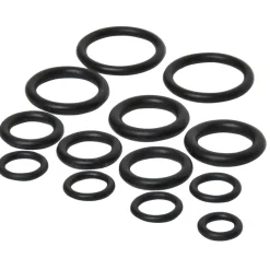 Sanivesk O-Ringen Assortiment 12 stuks