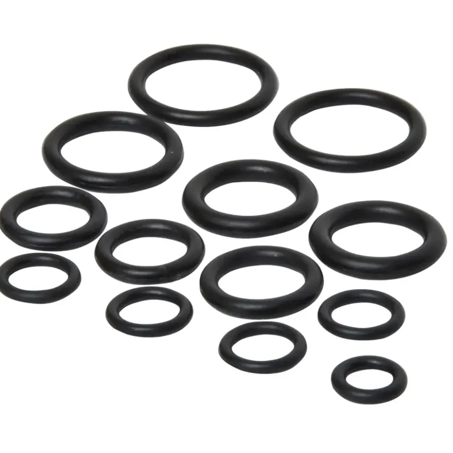 Sanivesk O-Ringen Assortiment 12 stuks