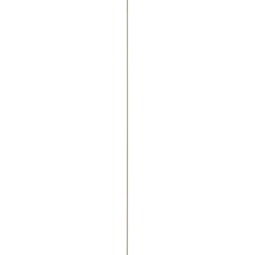 Schilderijlijst grenen 9x21 mm lengte 270 cm