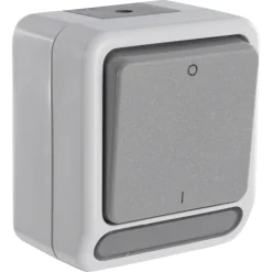 Schneider Electric Aquastar spatwaterdicht schakelaar 2-polig