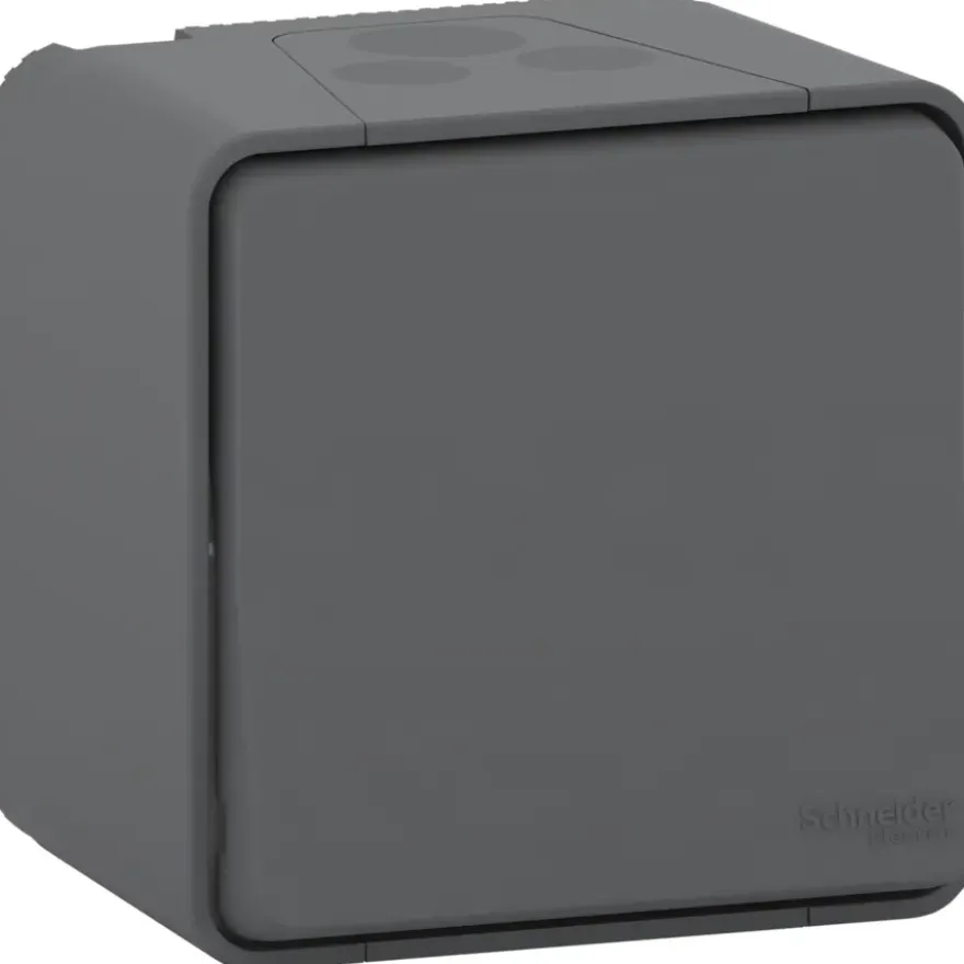 Schneider Electric Mureva Styl wisselschakelaar 2-polig IP55 antraciet