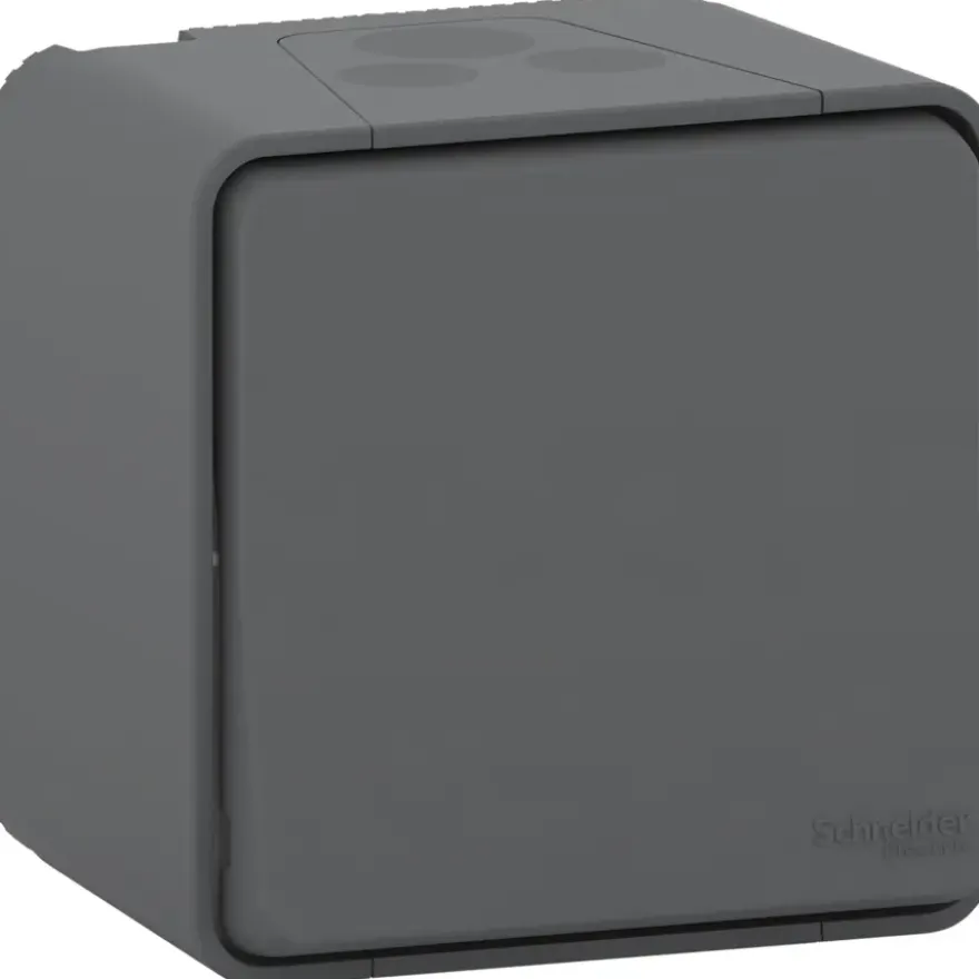 Schneider Electric Mureva Styl wisselschakelaar IP55 antraciet