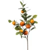 Sinaasappel fruit spray 80cm