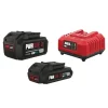 Skil 20V accu's 2.0 en 4.0Ah + snellader starterset