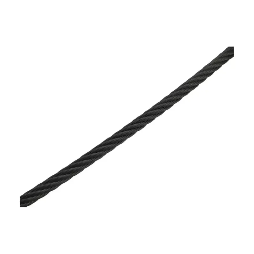 Staaldraad 2mm 5m RVS Zwart