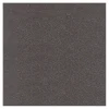 Star Line vloertegel antraciet keramiek 30 x 30 cm 1,26m²/doos