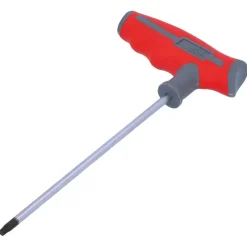 suki inbussleutel T25
