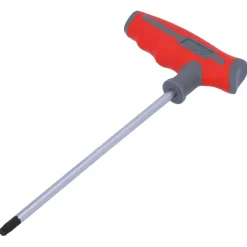 suki inbussleutel T30