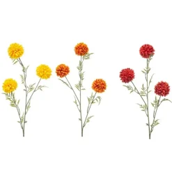 Tagetes spray mix 80cm