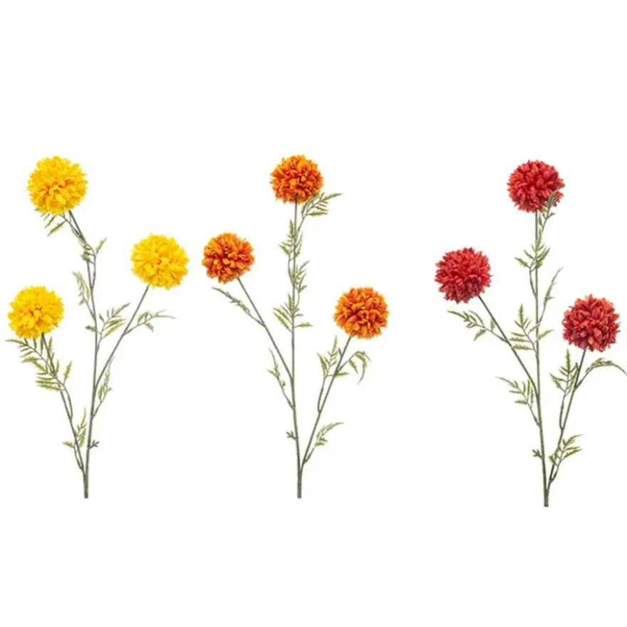 Tagetes spray mix 80cm
