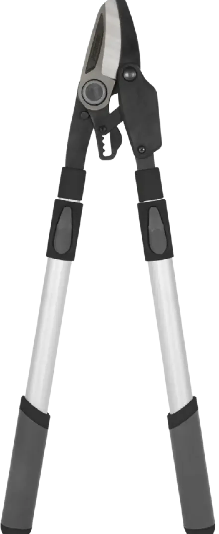 Takkenschaar telescopisch 50 - 82cm