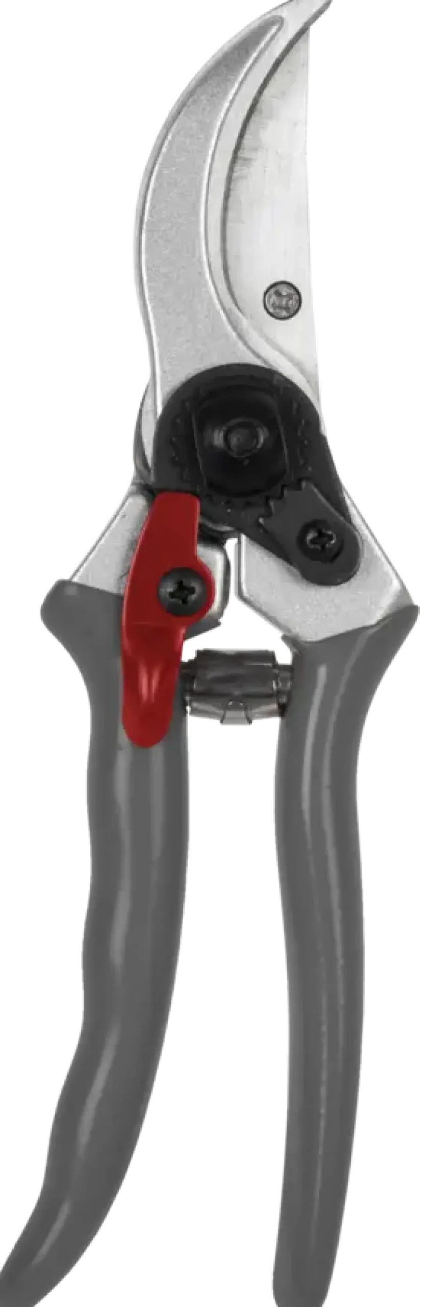 Talen Tools snoeischaar