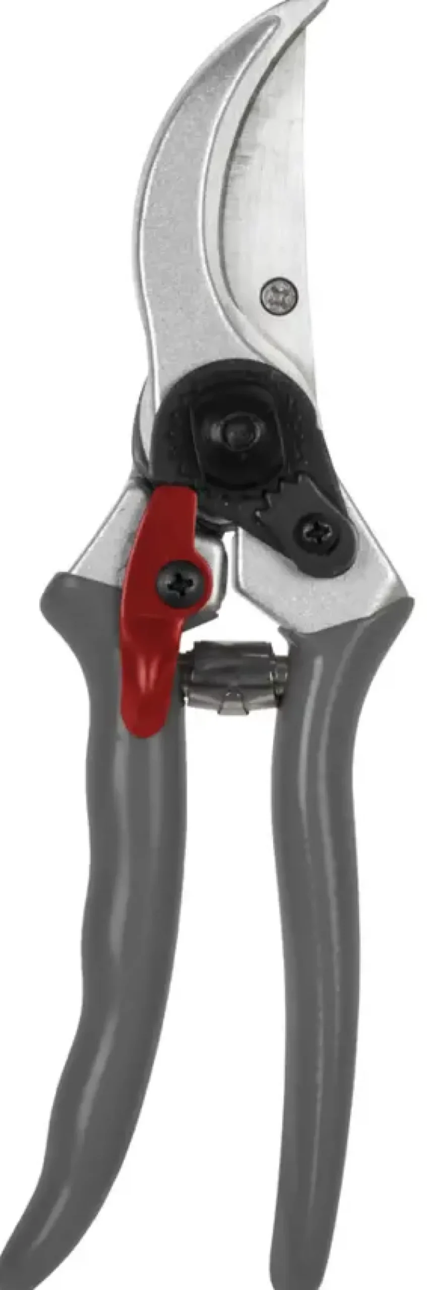 Talen Tools snoeischaar