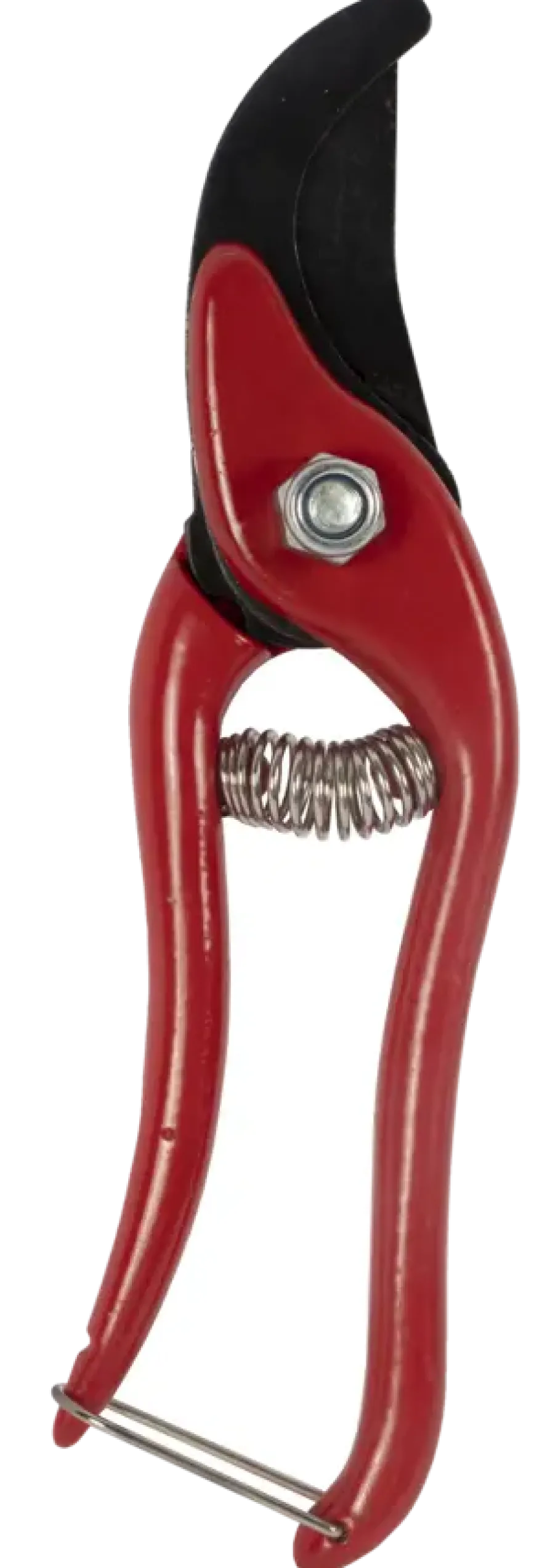 Talen Tools snoeischaar budget