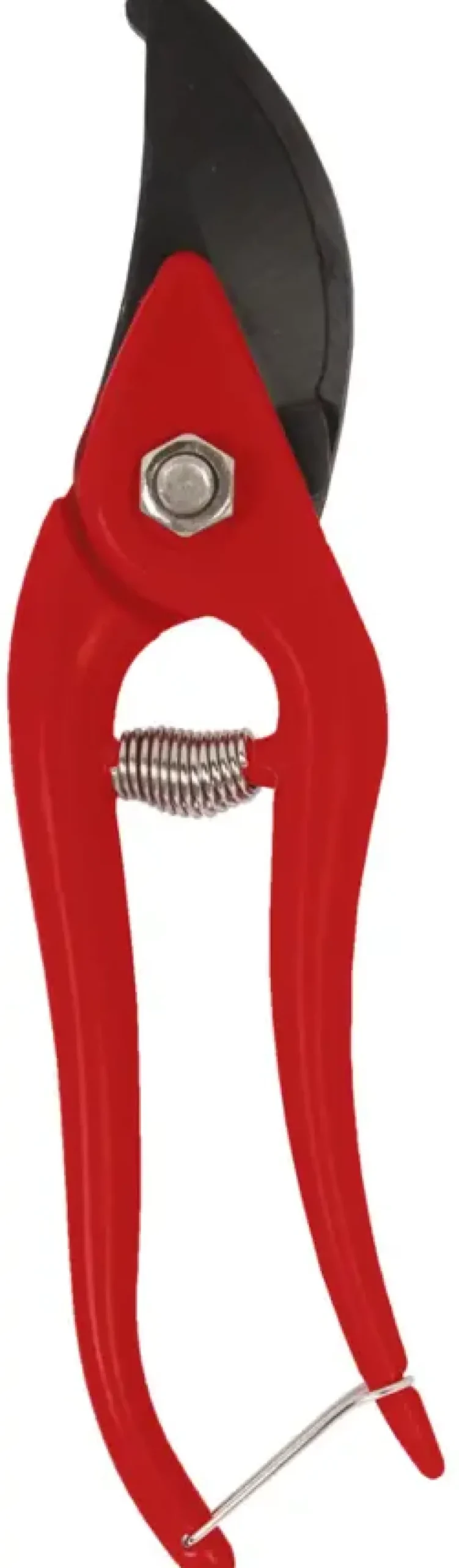Talen Tools snoeischaar budget