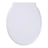 Tiger Burton wc bril verkort met softclose en quick release